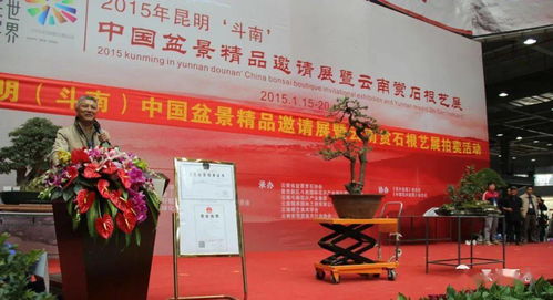 辉煌的记忆 2015年昆明 斗南 中国盆景 精品邀请展暨云南赏石根艺展