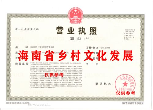 出海南省城乡 乡村字号公司,海南省省局核名 先机行业
