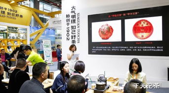 公司动态 最新动态