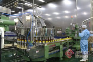 云南最大果汁企业开始新一轮快速增长 多上果汁年产20万吨新工厂投产