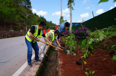 云南西盟:一路一风景 绘就绿美公路靓丽