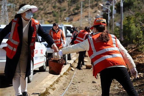 云南 迪庆公路局开展2022年春季义务植树活动