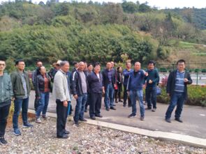 玉溪市政府信息公开