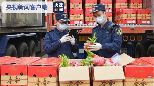 前2月海关截获检疫性有害生物同比增长四成