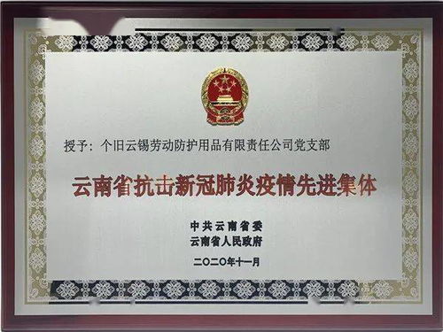 云锡劳动防护用品公司党支部荣获云南省抗击新冠肺炎疫情先进集体称号