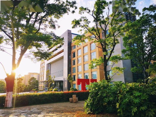 云南交通职业技术学院校庆公告 第一号