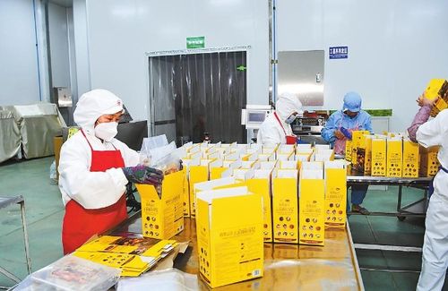 2024云南经济这么干 玉溪增强经济发展韧性推动质量效益提升