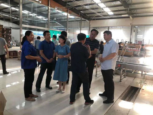 山西省食安委调研文水县食品安全示范县创建工作