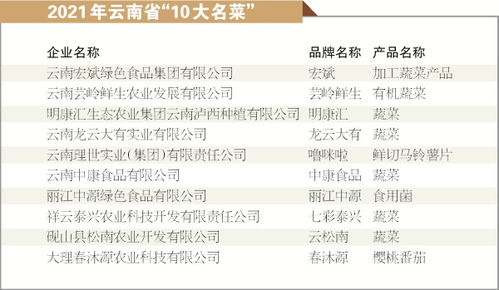 第三届2021年云南省“10大名品”与绿色食品“10强企业”、“20佳创新企业”表彰盛典暨云南省乡村振兴成果展